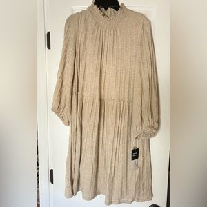 Sandra Darren Turtleneck Sweater Dress in Oatmeal